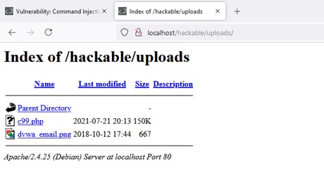 Using Web Shells for Profit - Packt SecPro